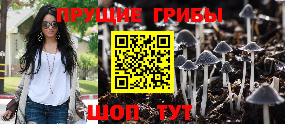 Галлюциногенные грибы мицелий  где купить наркотик  Нижний Тагил  Вход с VPN 