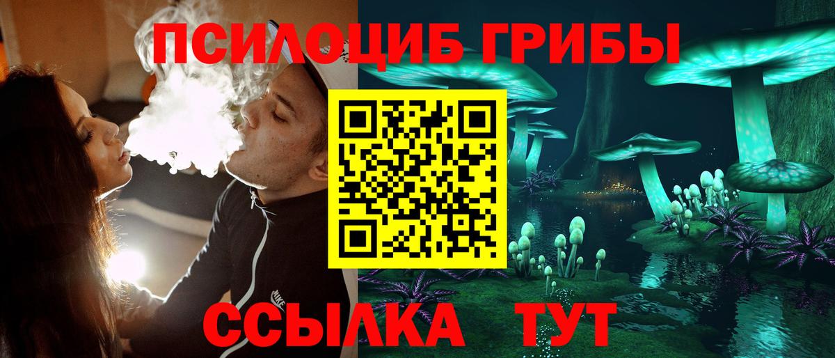 Галлюциногенные грибы прущие грибы Нижний Тагил
